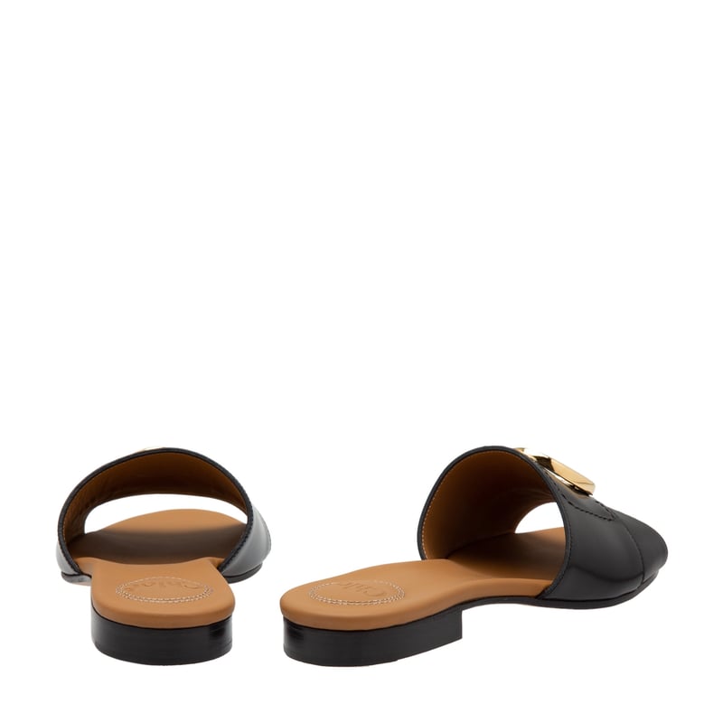 c19s13206-001_3.jpg?ts=20231123130751