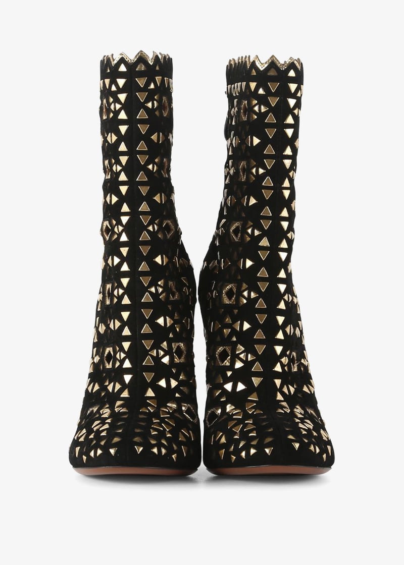 pl234488_3.jpg?ts=20240520131550