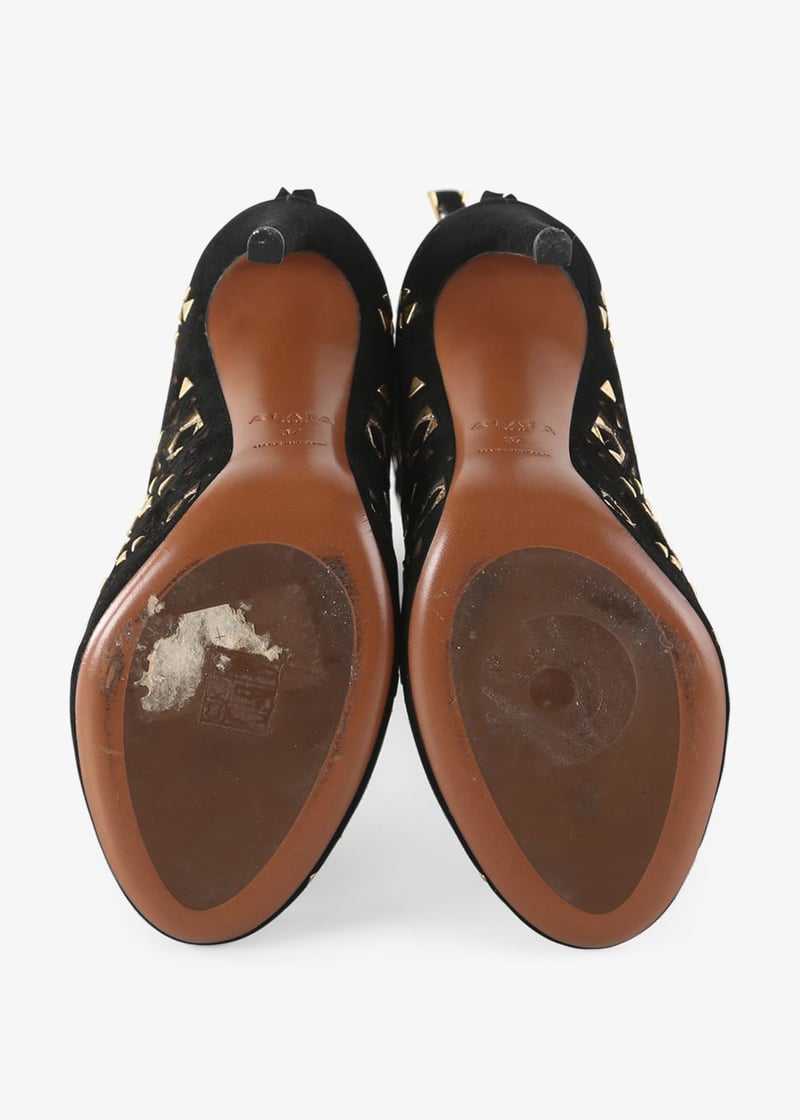 pl234488_5.jpg?ts=20240520131550